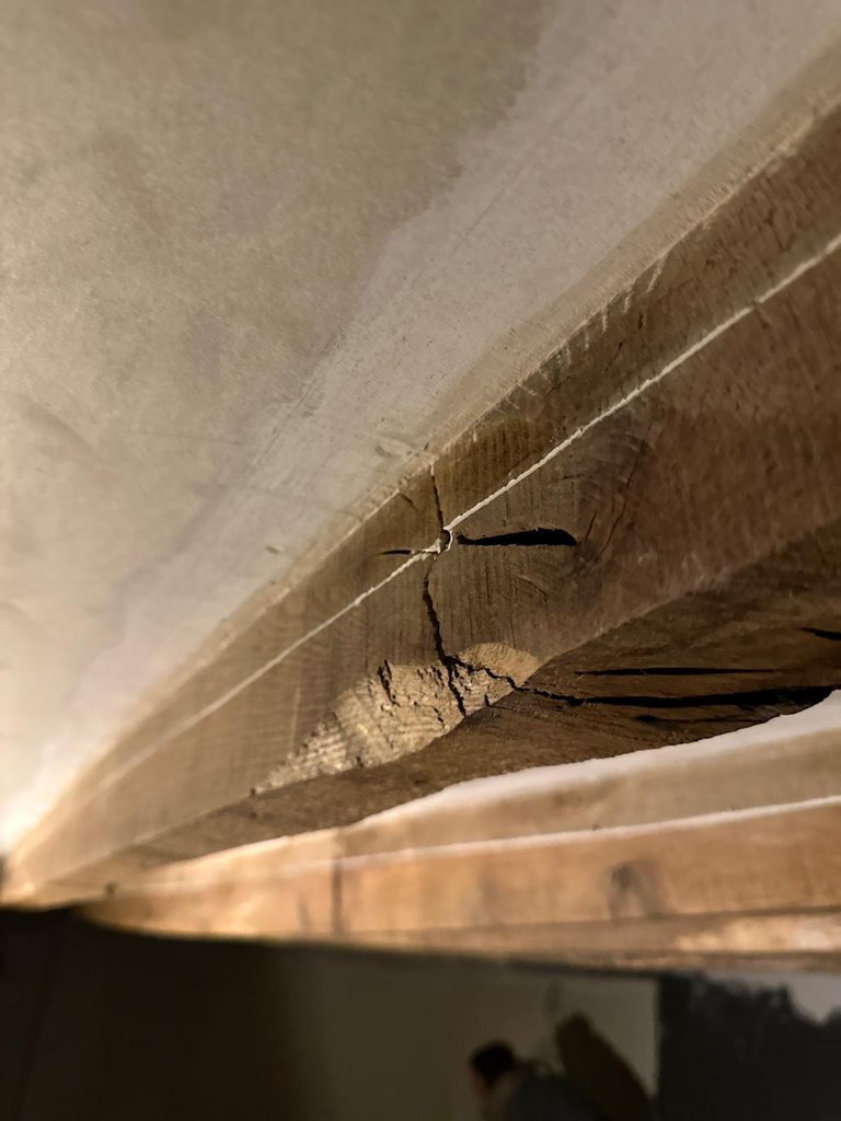 Détail d’un élément de structure bois observé au cours d’investigations dans un bâtiment ancien.